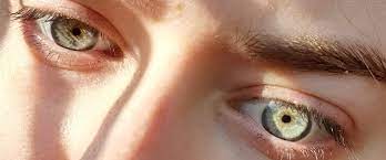 Oculax – besseres Sehvermögen - Aktion – Deutschland – Nebenwirkungen