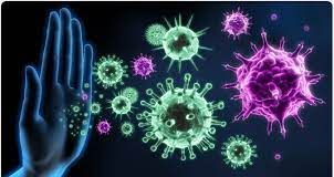 Immuniti+ - bewertungen - inhaltsstoffe - anwendung - erfahrungsberichte